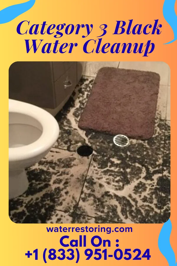 Category 3 Black Water Cleanup in Millingport, NC